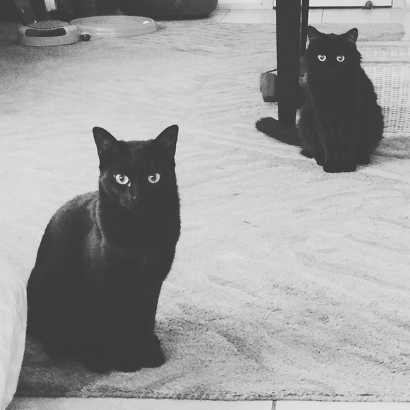 🌆FOLLOW ME🤘🏼on Instagram @hollywoodprovisions - Picture 5 of 8